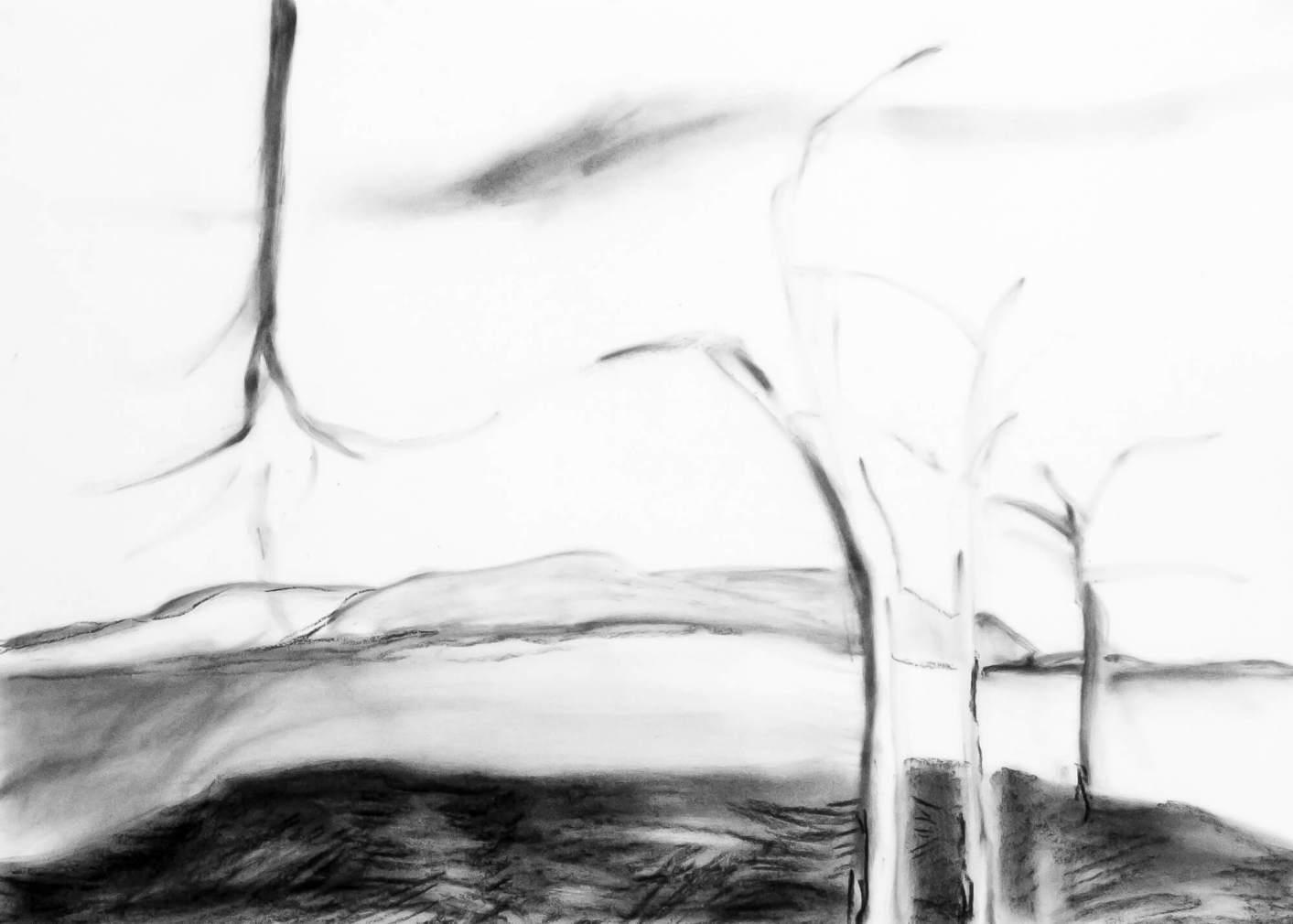 Axis Mundi 2:2, charcoal on paper, 40 x 60 cm